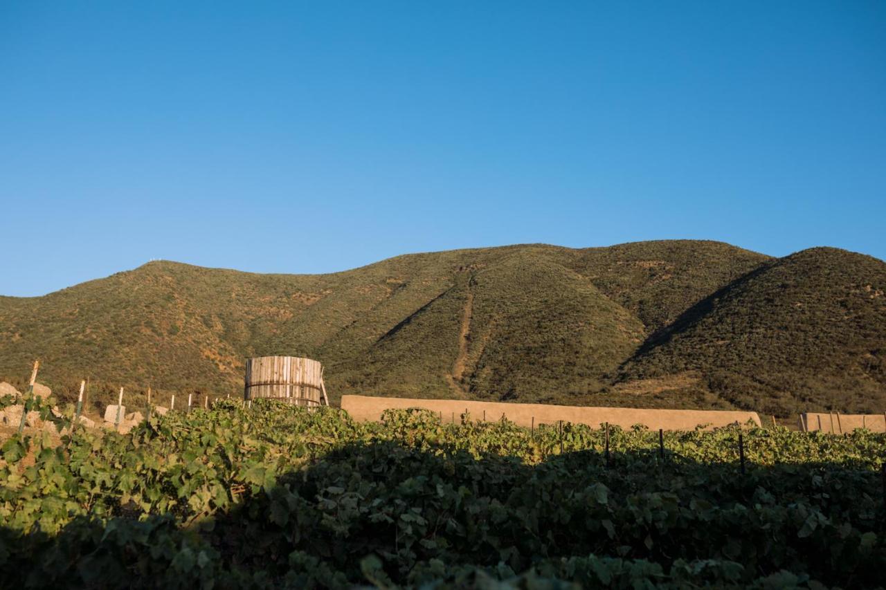 Bed and Breakfast UvaUva eco-retreat Valle de Guadalupe Exterior foto