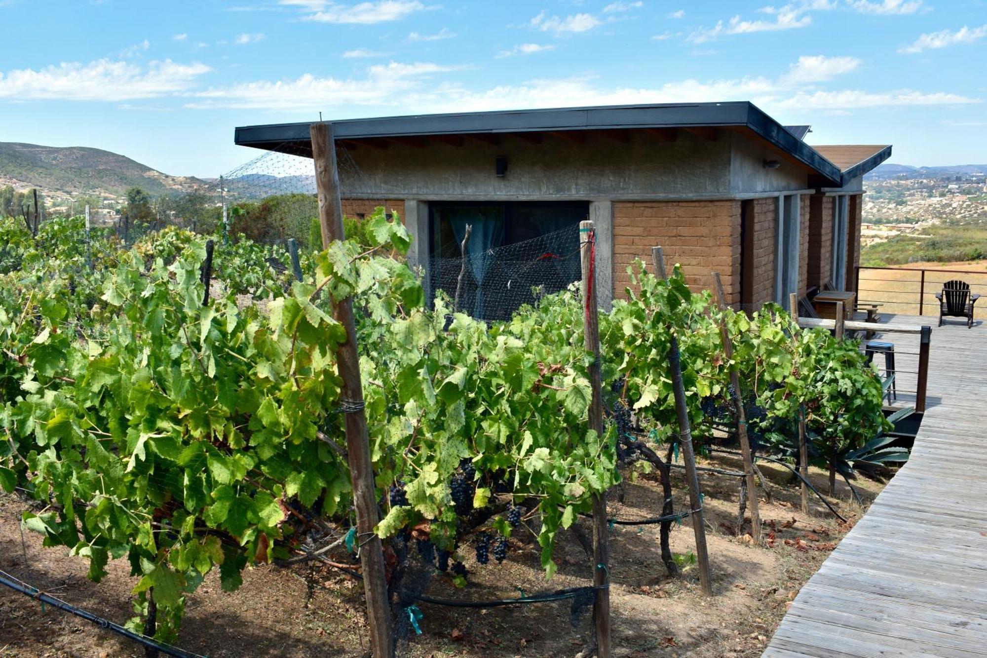 Bed and Breakfast UvaUva eco-retreat Valle de Guadalupe Exterior foto